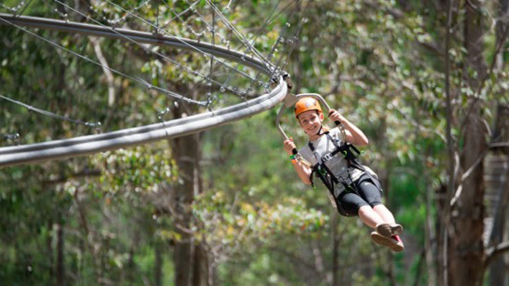 fastest roller coaster zip line